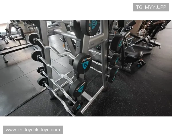 静音型家庭健身器械选购：不扰邻的锻炼方案